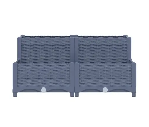 Taimekast 80 X 80 X 38 cm Polüpropüleen