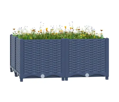 Aukštas Lovelis, 80X80X38cm Polipropilenas