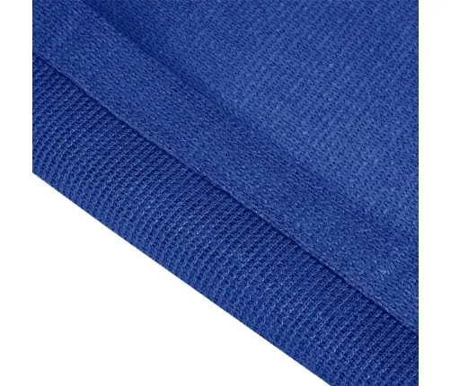 Palapinės Kilimėlis, Mėlynos Spalvos, 250X550Cm