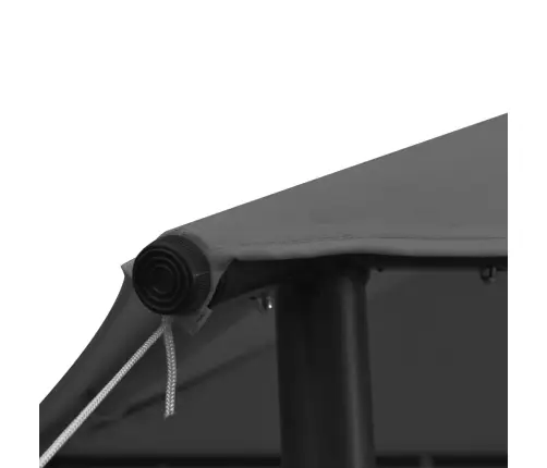 Dārza Nojume, 3X3 M, Antracītpelēka, Audums, Tērauds, 180 G/M² Vidaxl