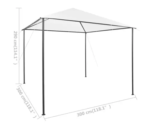 Dārza Nojume, 3X3X2,9 M, Balta, 180 G/M² Vidaxl