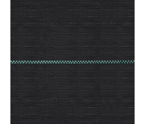 Augsnes Pārsegs, Pp, 2X100 M, Melns Vidaxl