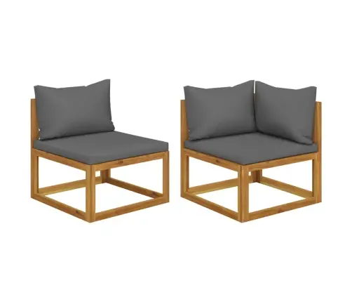 2-Osaline Diivanikomplekt Tumehallide Patjadega, Akaatsiapuit