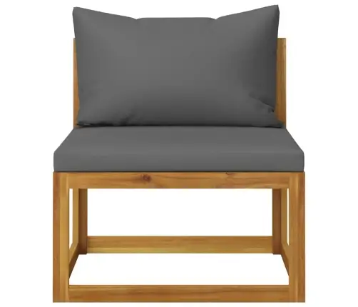 2-Osaline Diivanikomplekt Tumehallide Patjadega, Akaatsiapuit