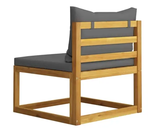 2-Osaline Diivanikomplekt Tumehallide Patjadega, Akaatsiapuit