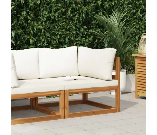 Sektsiooniline Nurgadiivan Kreemjasvalge Padjaga, Akaatsiapuit