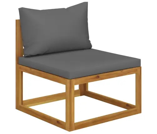 Modulinė Vidurinė Sofos Dalis Su Pilka Pagalvėle, Akacija