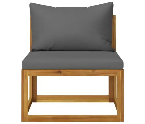 Modulinė Vidurinė Sofos Dalis Su Pilka Pagalvėle, Akacija