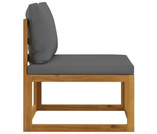 Modulinė Vidurinė Sofos Dalis Su Pilka Pagalvėle, Akacija