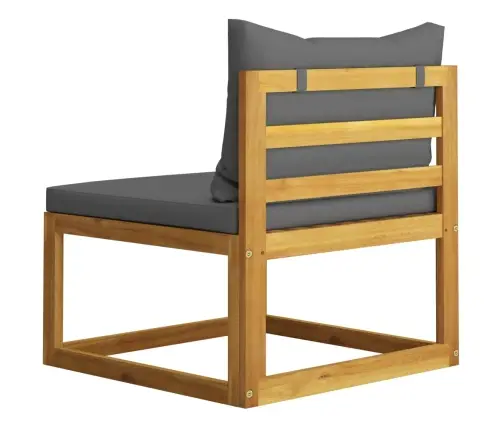 Modulinė Vidurinė Sofos Dalis Su Pilka Pagalvėle, Akacija