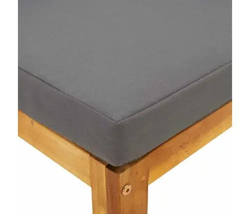 Modulinė Vidurinė Sofos Dalis Su Pilka Pagalvėle, Akacija