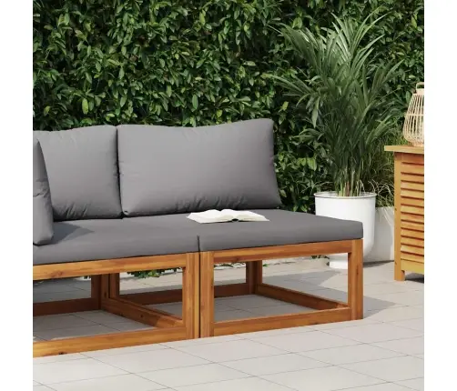 Modulinė Vidurinė Sofos Dalis Su Pilka Pagalvėle, Akacija