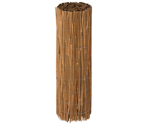 Bambusa Žogs, 500X100 Cm Vidaxl