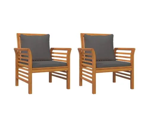 Krėslai Su Tamsiai Pilkomis Pagalvėlėmis, 2Vnt., Akacija