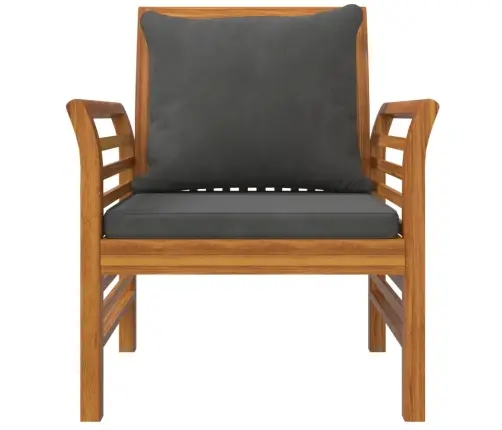 Krėslai Su Tamsiai Pilkomis Pagalvėlėmis, 2Vnt., Akacija