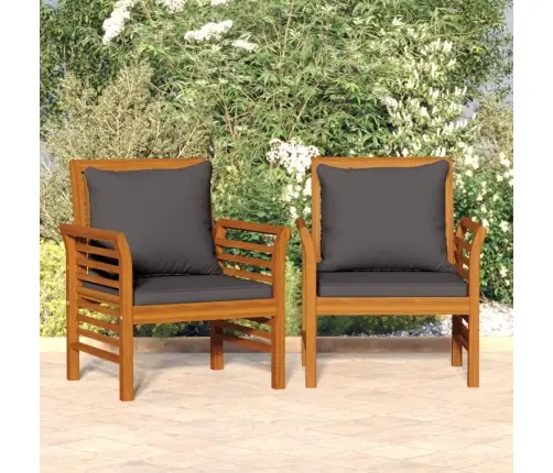 Krėslai Su Tamsiai Pilkomis Pagalvėlėmis, 2Vnt., Akacija