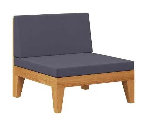 Vidējais Dīvāns Ar Tumši Pelēkiem Matračiem, Akācijas Koks Vidaxl