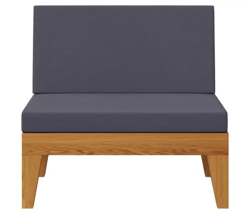 Vidējais Dīvāns Ar Tumši Pelēkiem Matračiem, Akācijas Koks Vidaxl