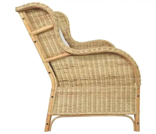 Divvietīgs Dīvāns, Dabīga Rotangpalma Un Lins Vidaxl