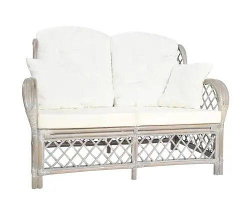 Divvietīgs Dīvāns, Pelēka Rotangpalma Vidaxl