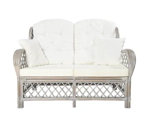 Divvietīgs Dīvāns, Pelēka Rotangpalma Vidaxl