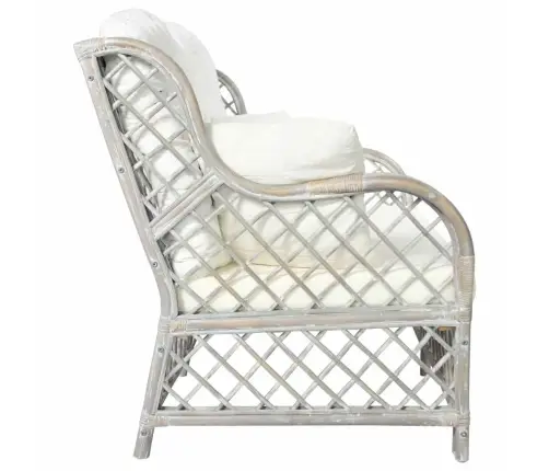 Divvietīgs Dīvāns, Pelēka Rotangpalma Vidaxl