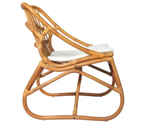 Kėdė, Šviesiai Rudos Spalvos, Ratanas Ir Linas