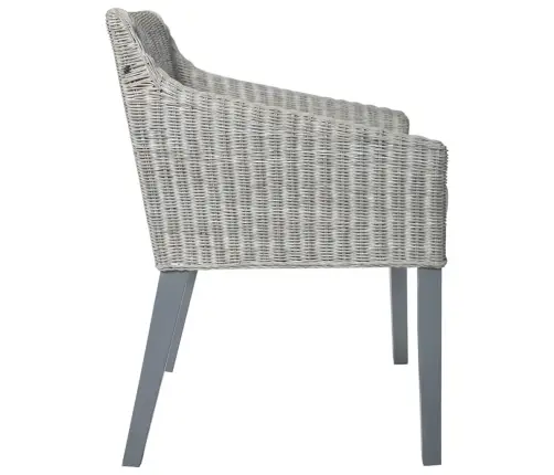 Söögitoolid Istmepatjadega 2 Tk, Hall, Naturaalne Rotang