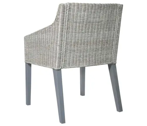 Söögitoolid Istmepatjadega 2 Tk, Hall, Naturaalne Rotang