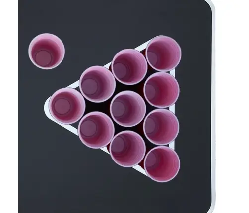 Beer Pong Spēles Galds Ar Glāzēm Un Bumbiņām, Saliekams, 240 Cm Vidaxl