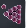 Beer Pong Spēles Galds Ar Glāzēm Un Bumbiņām, Saliekams, 240 Cm Vidaxl