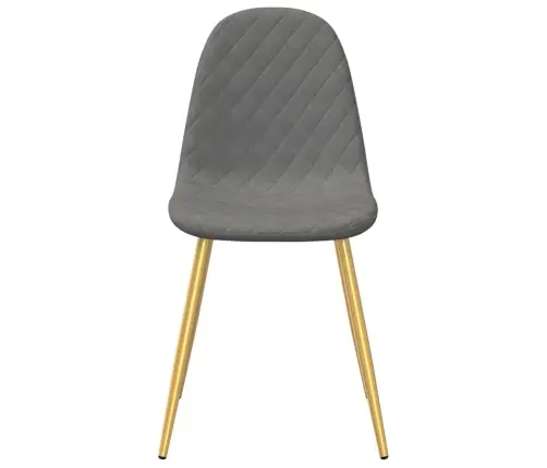 Valgomojo Kėdės, 4Vnt., Šviesiai Pilkos Spalvos, Aksomas