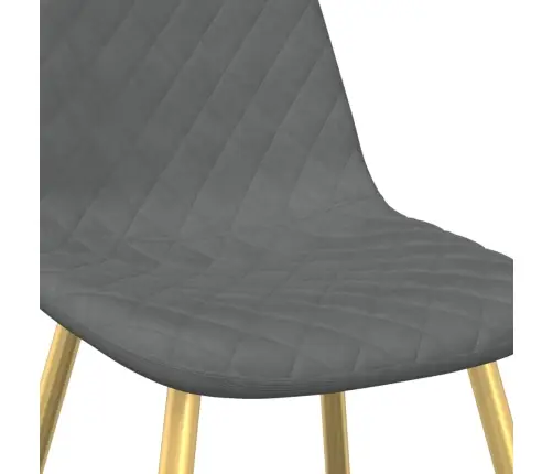 Valgomojo Kėdės, 4Vnt., Šviesiai Pilkos Spalvos, Aksomas