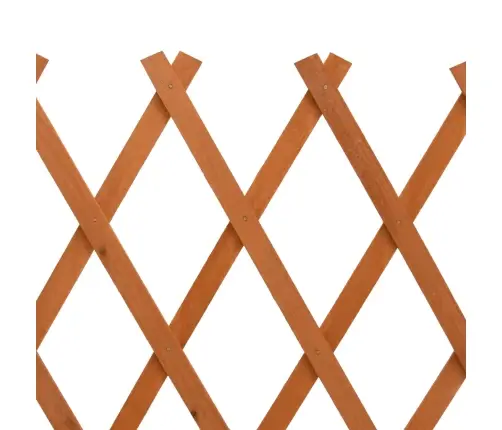 Sodo Treliažas-Tvora, Oranžinis, 120X60cm Eglės Masyvas