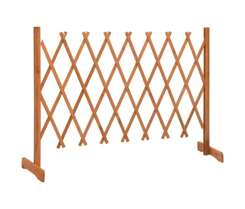 Špaleru Žogs, Oranžs, 150X80 Cm, Egles Masīvkoks Vidaxl