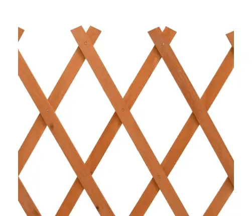 Špaleru Žogs, Oranžs, 150X80 Cm, Egles Masīvkoks Vidaxl