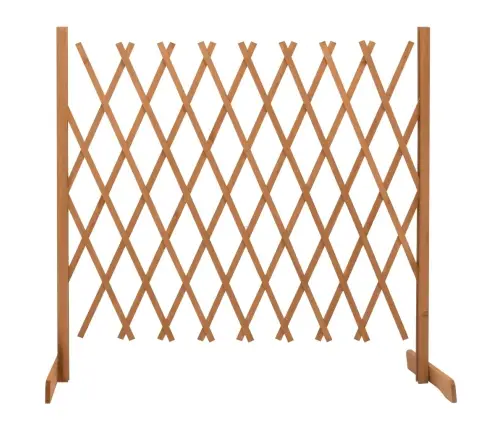 Aiavõre, Oranž, 180 X 100 cm Nulupuit