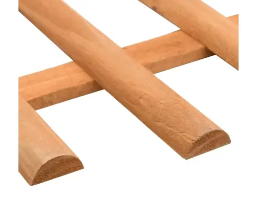 Zāliena Apmales, 10 Gab., Egles Koks, 4,4 M Vidaxl