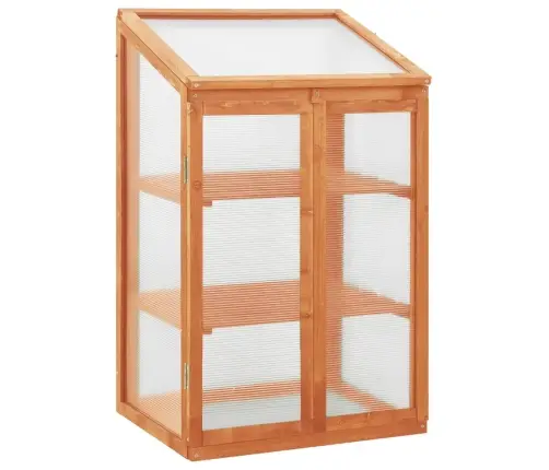 Šiltnamis, 60X45X100cm Eglės Mediena