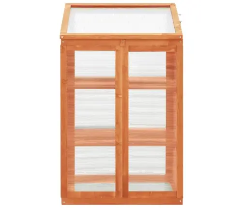 Šiltnamis, 60X45X100cm Eglės Mediena