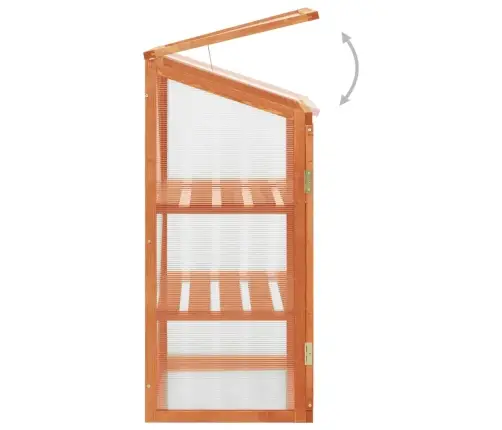 Šiltnamis, 60X45X100cm Eglės Mediena