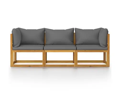 3-Kohaline Aiadiivan Padjaga, Akaatsiapuit