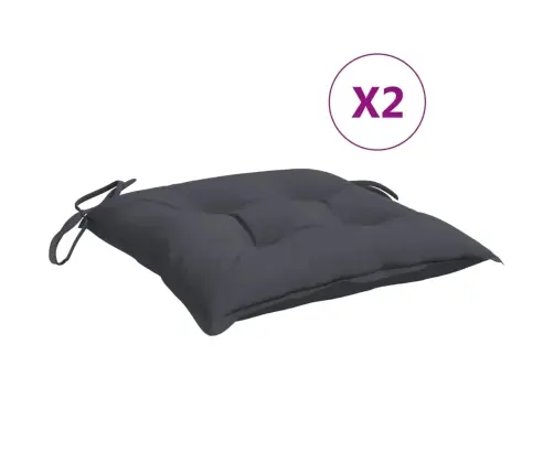 Tooli Istmepadjad 2 Tk Antratsiithall 40 X 40 X 7 Cm Kangas