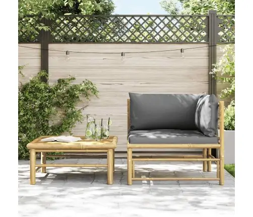 2-Osaline Aiamööblikomplekt Tumehallide Patjadega, Bambus
