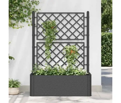 Puķu Kaste Ar Špaleru, Antracītpelēka, Pašlaistīšanas Sistēma Vidaxl