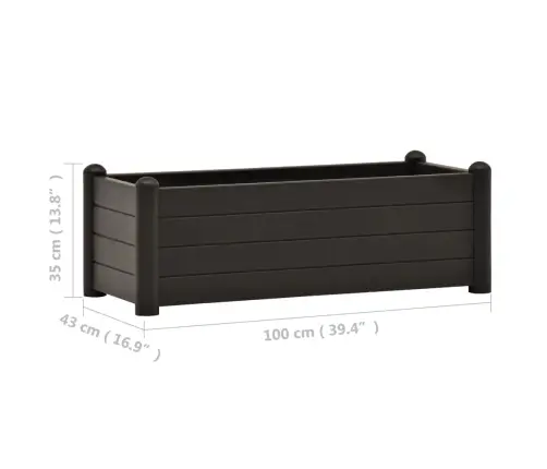 Aia Taimelava Pp Antratsiithall 100 X 43 X 35 Cm