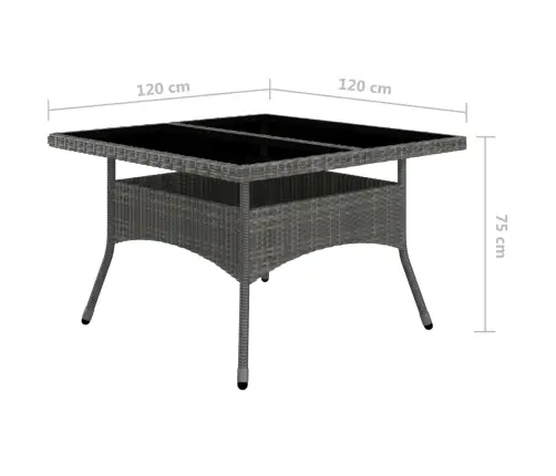 9-Daļīgs Dārza Mēbeļu Komplekts, Pe Rotangpalma, Akācijas Koks  Vidaxl