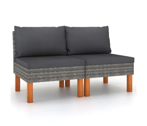 Vidurinės Sofos Dalys, 2Vnt., Poliratanas Ir Eukalipto Masyvas