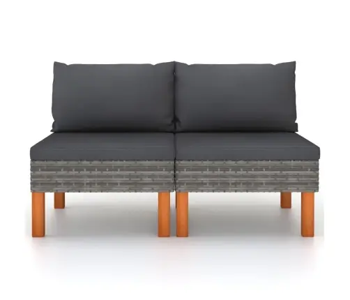 Vidurinės Sofos Dalys, 2Vnt., Poliratanas Ir Eukalipto Masyvas