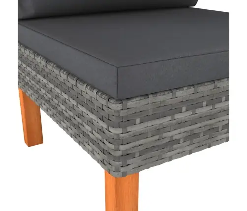 Vidurinės Sofos Dalys, 2Vnt., Poliratanas Ir Eukalipto Masyvas